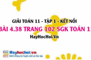 Giải bài 4.38 trang 102 Toán 11 tập 1 SGK Kết nối tri thức